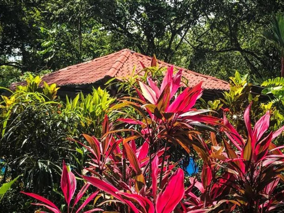 Casa Colores Монтесума Экстерьер фото
