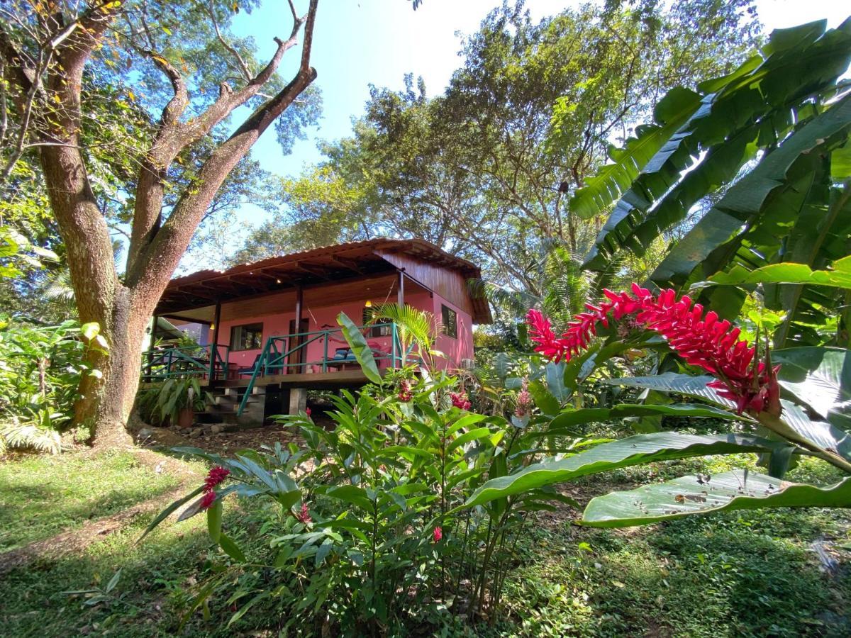Casa Colores Монтесума Экстерьер фото