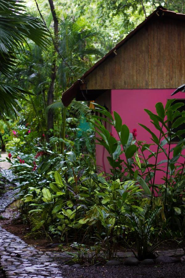 Casa Colores Монтесума Экстерьер фото